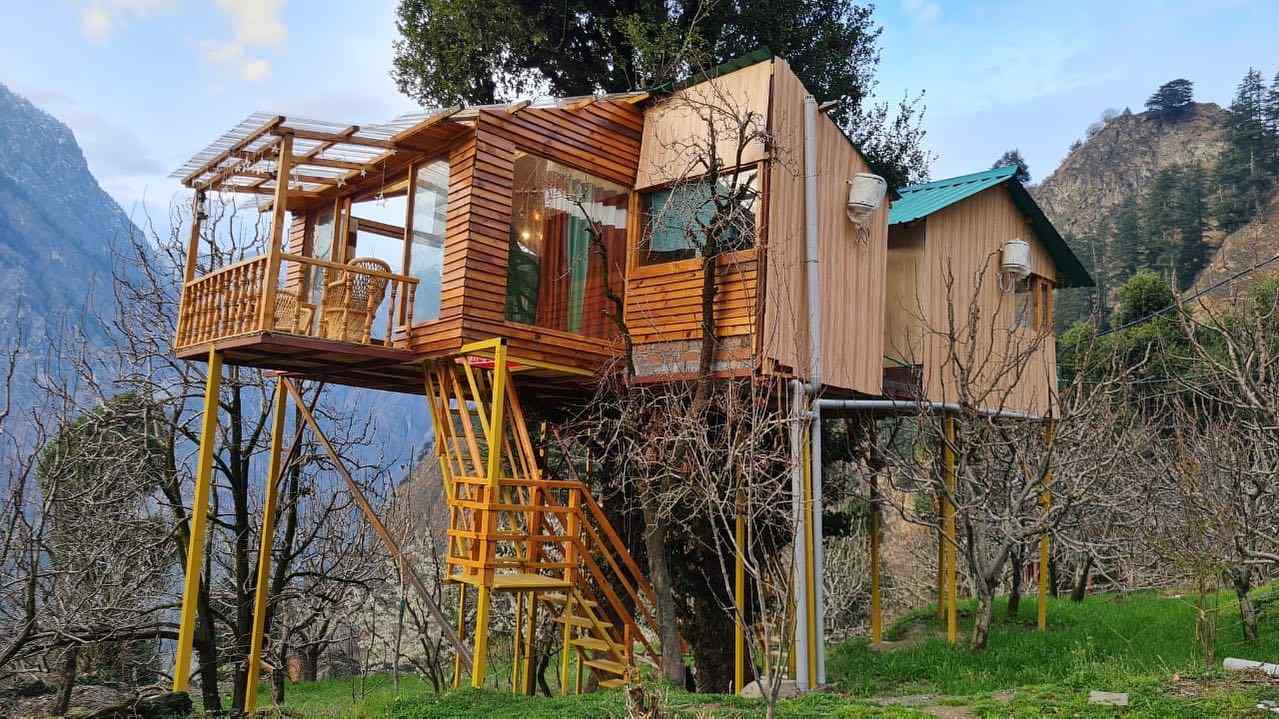 Stargazing Treehouse-image-1