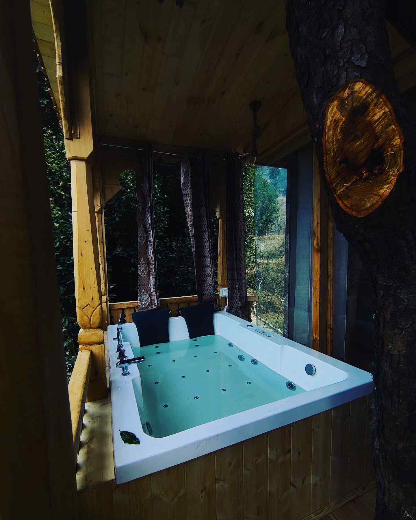 Stargazing Treehouse-image-3