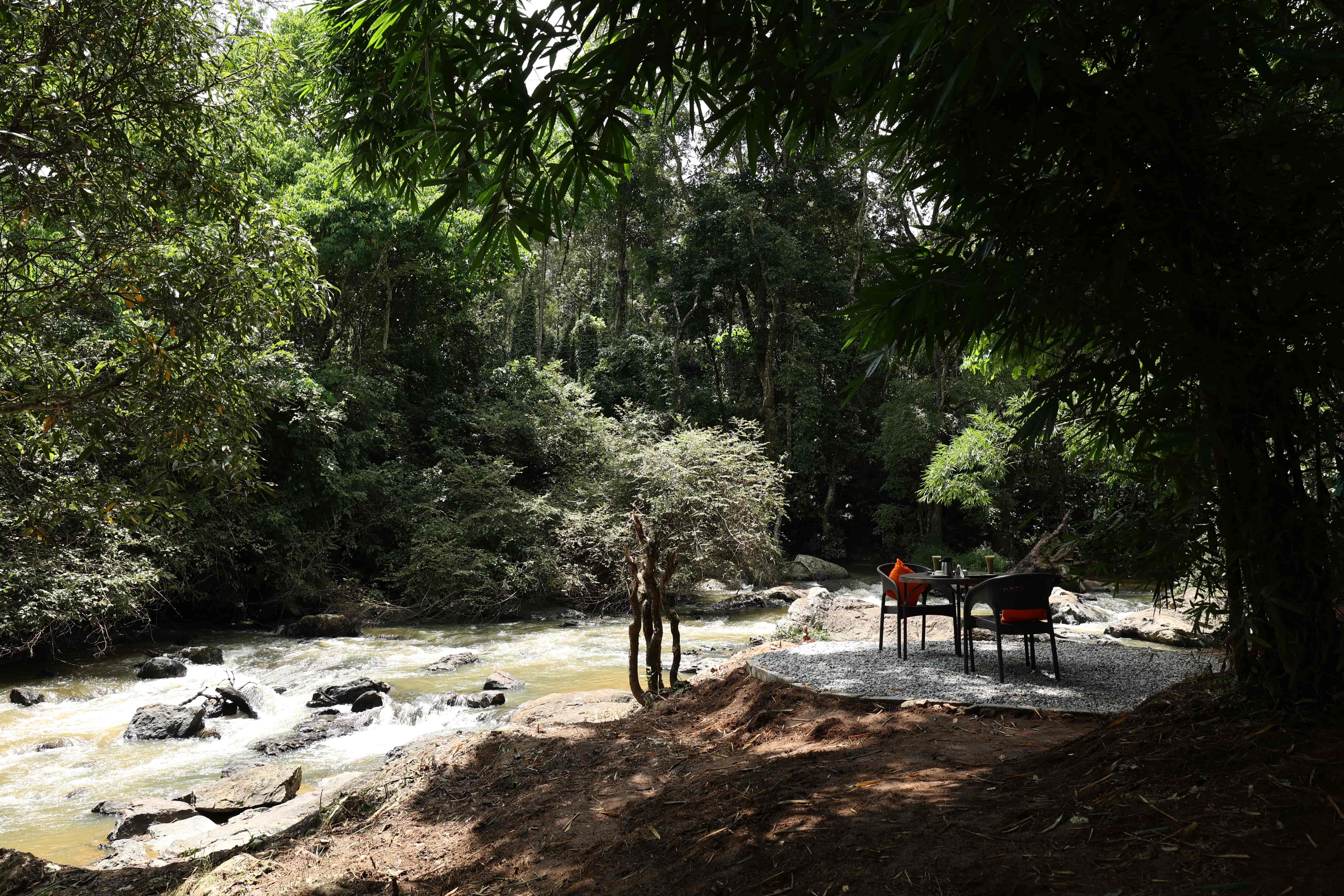 Riverside Escape Surrounded by Nature-image-1