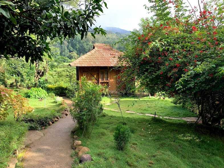 Wild Trails Retreat, Wayanad Kerala | video