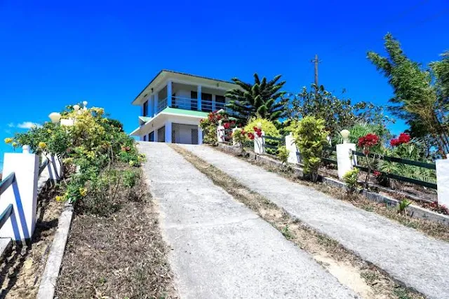 Tea Roost Stay-image-2