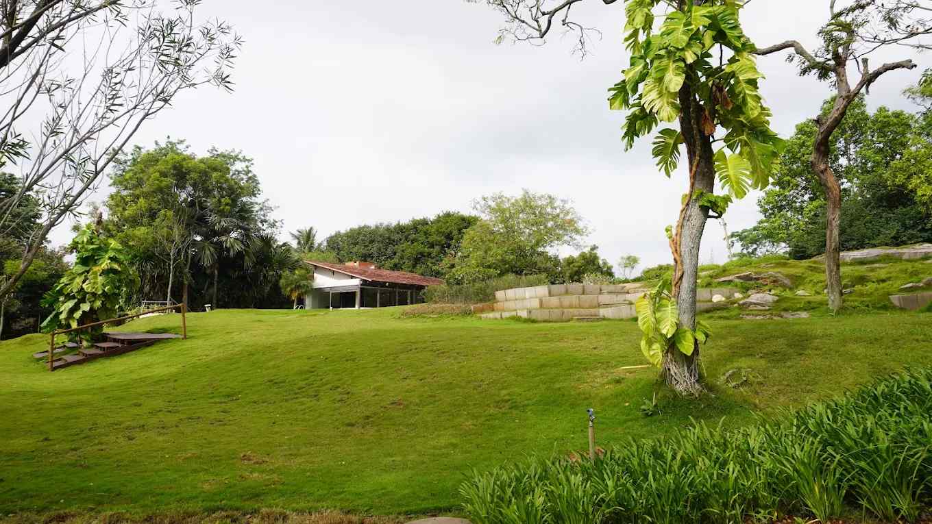 The Sylvan Nook-image-2