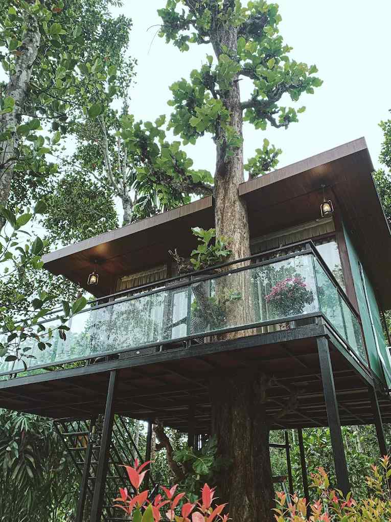 Nature Mount Villa, Wayanad Kerala | video