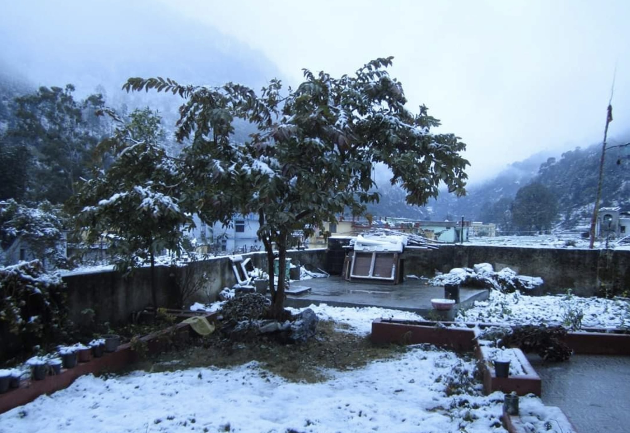 Misty Abode-image-2