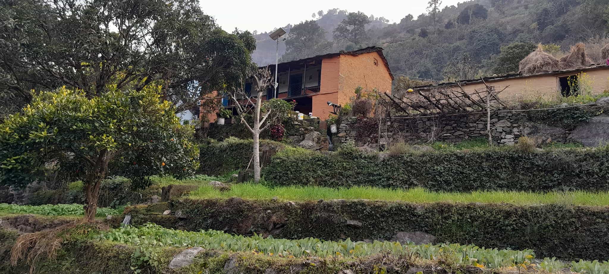 Hidden in the woods, Khamano Uttarakhand | video