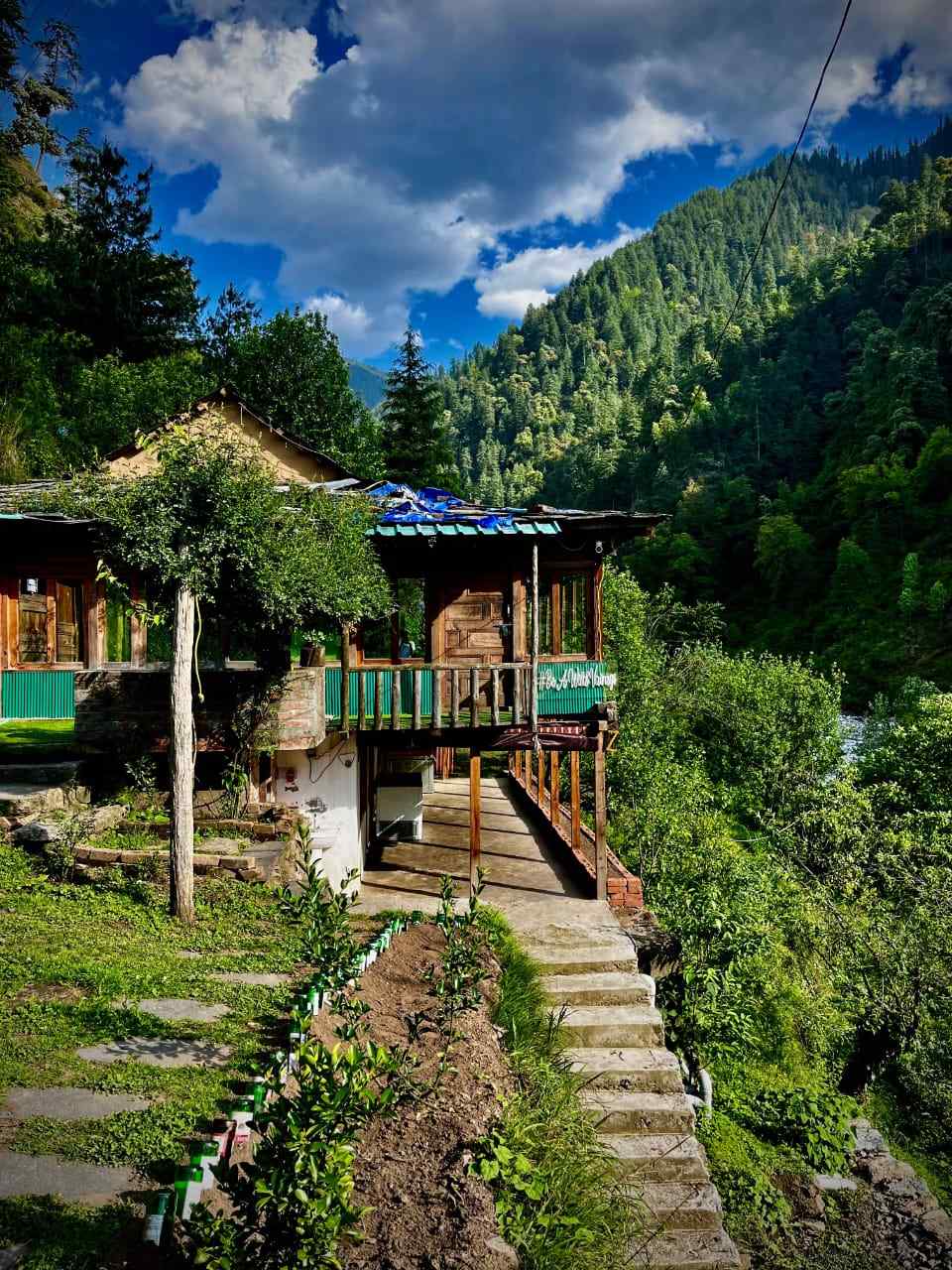 Boho Moksha, Chippni Himachal Pradesh | video