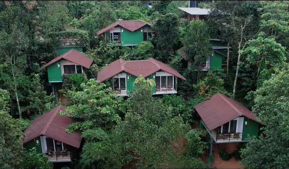 Jungle Paradise Resort-video-large