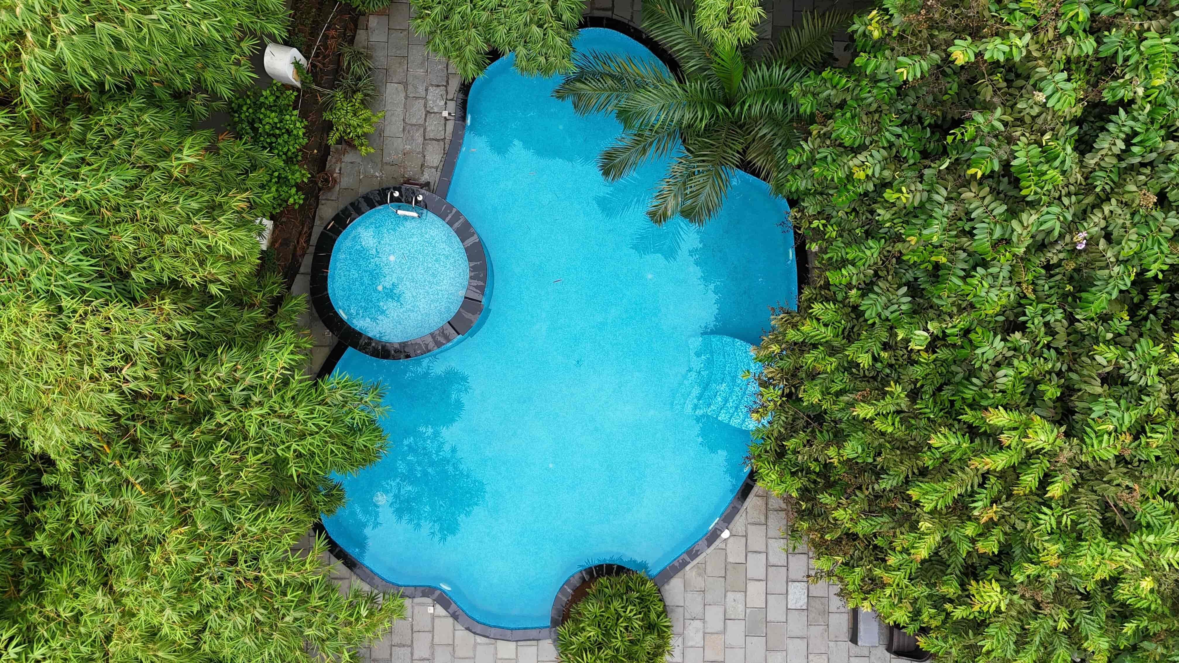 Vanya Grove-image-1