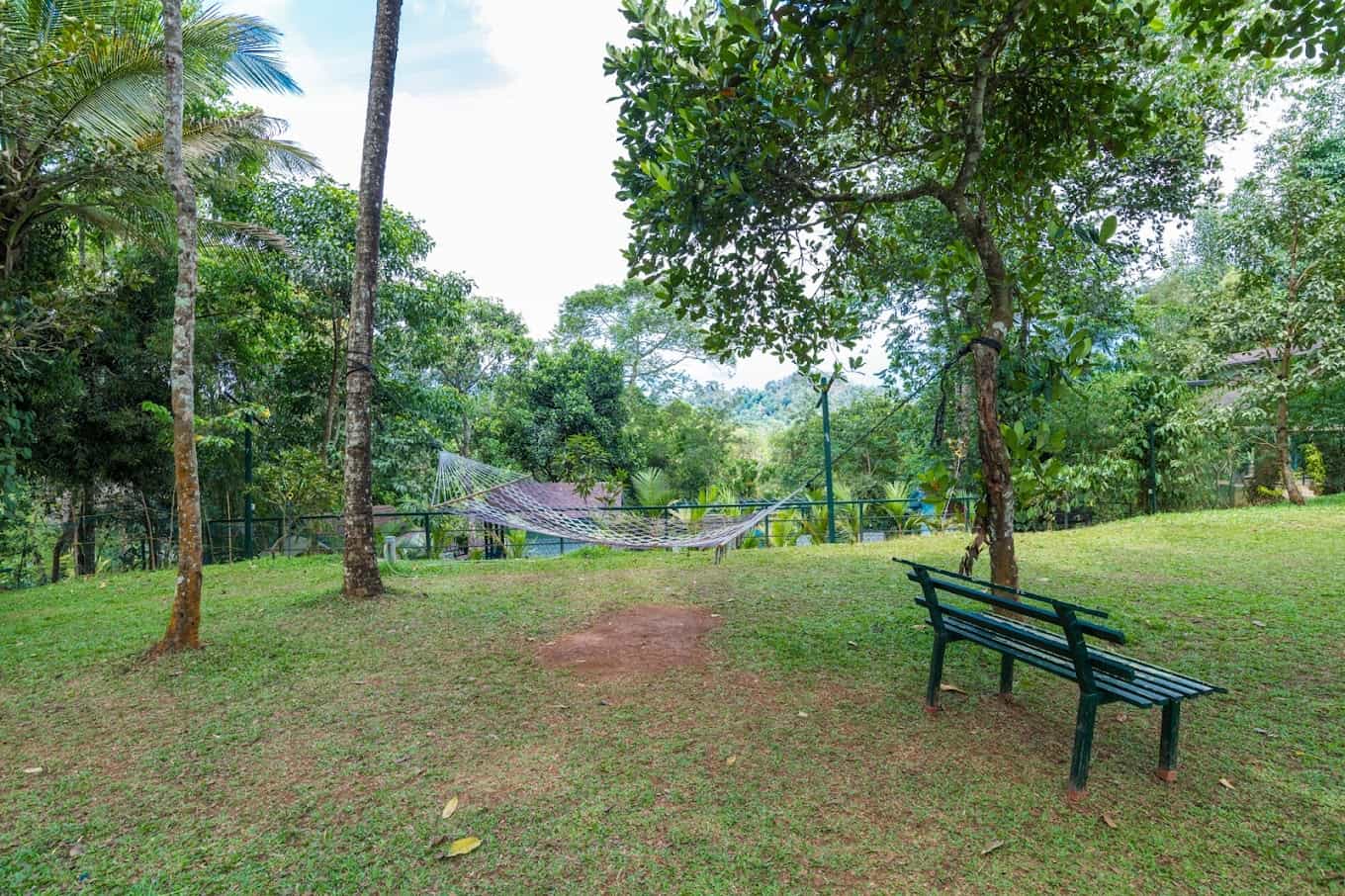 Nature's Edge Resort-image-2