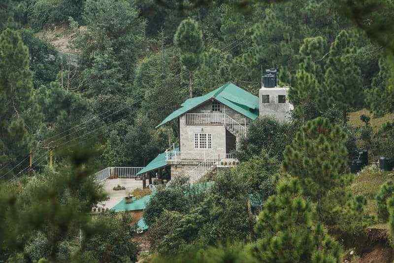 Chillwood Retreat-image-1
